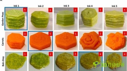 新研發(fā)的3D打印食品可保留和冷凍蔬菜的營養(yǎng)和風(fēng)味